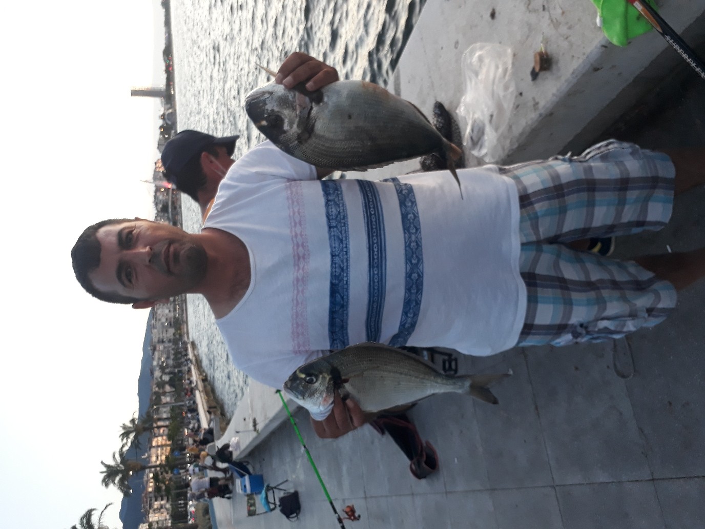 Spot photo 448