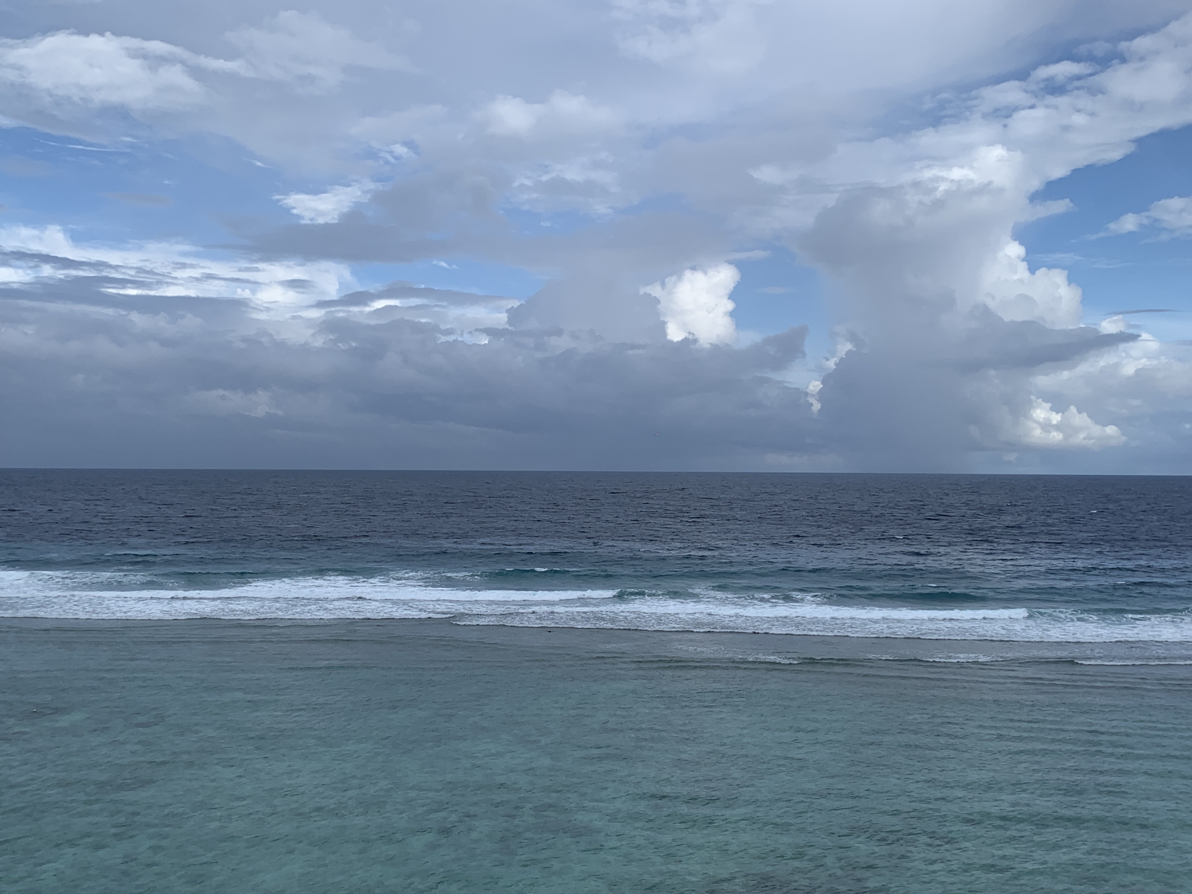 Spot photo 143