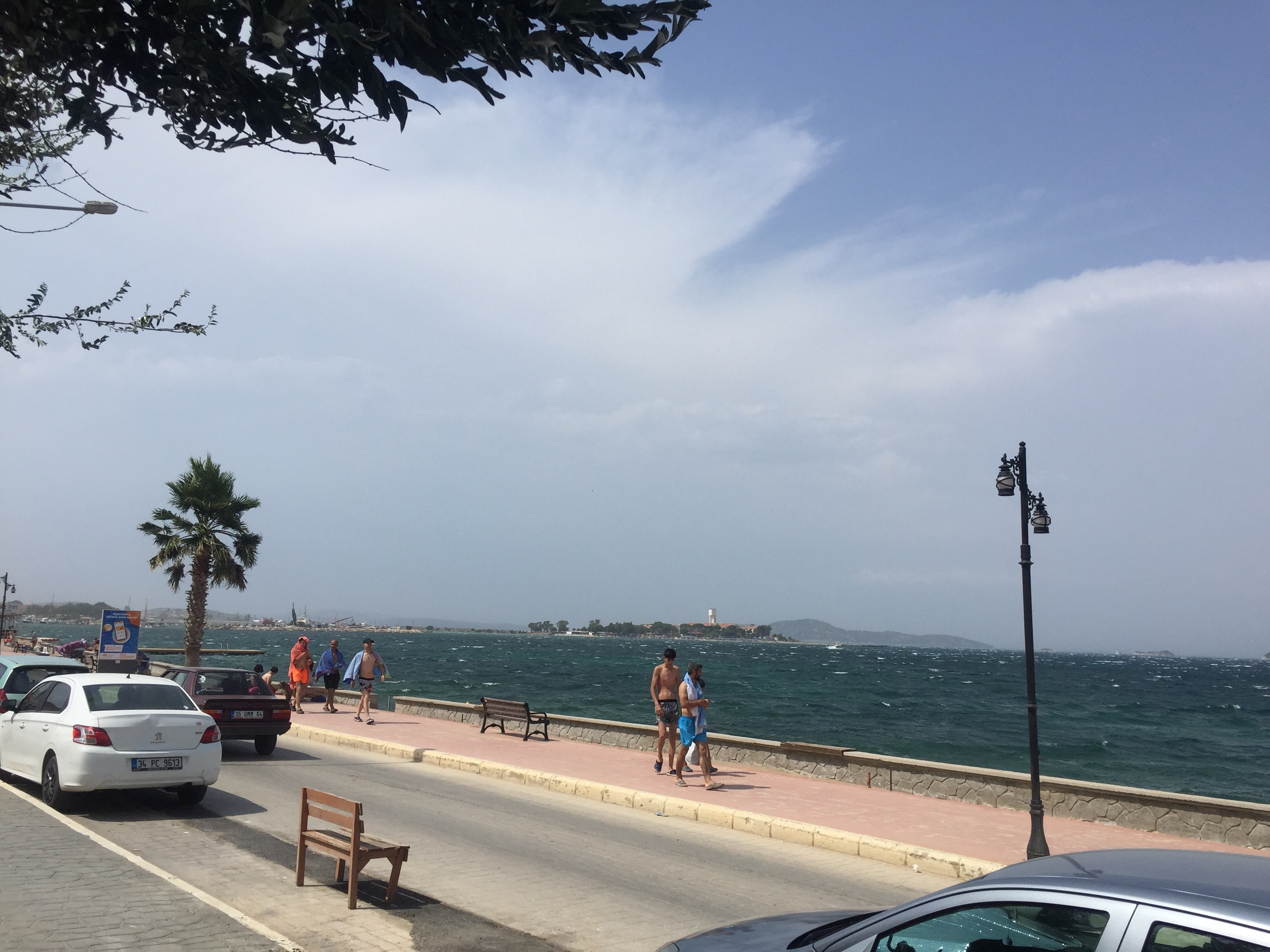 Spot photo 246