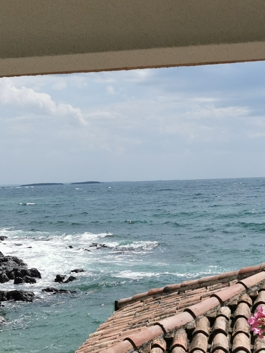 Spot photo 16