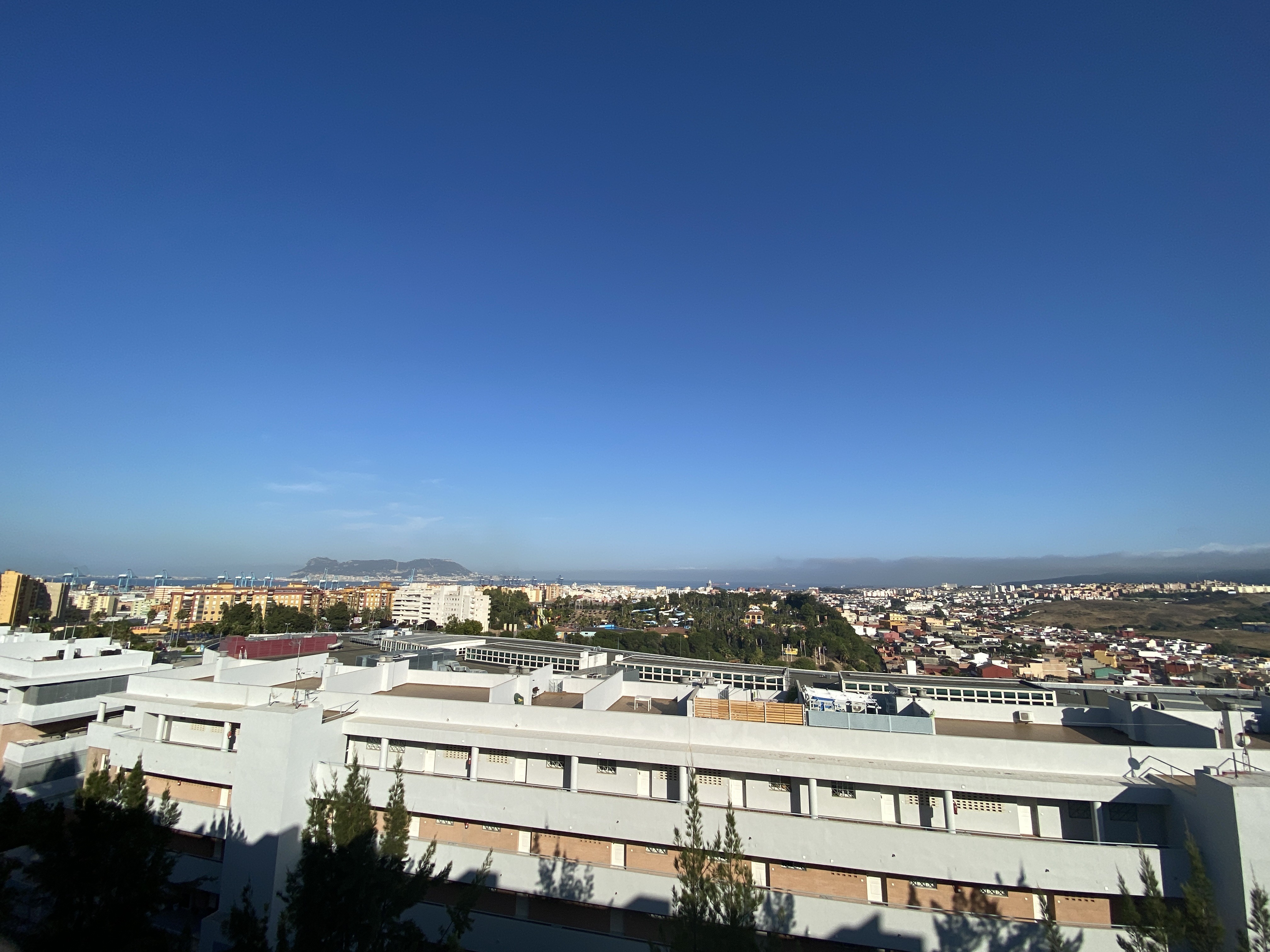 Spot photo 231