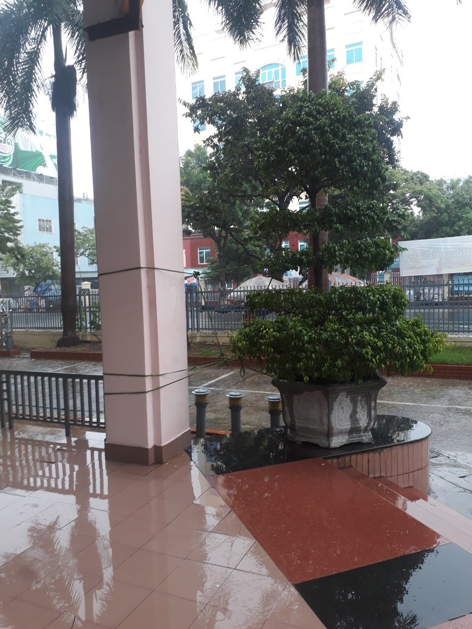 Spot photo 68