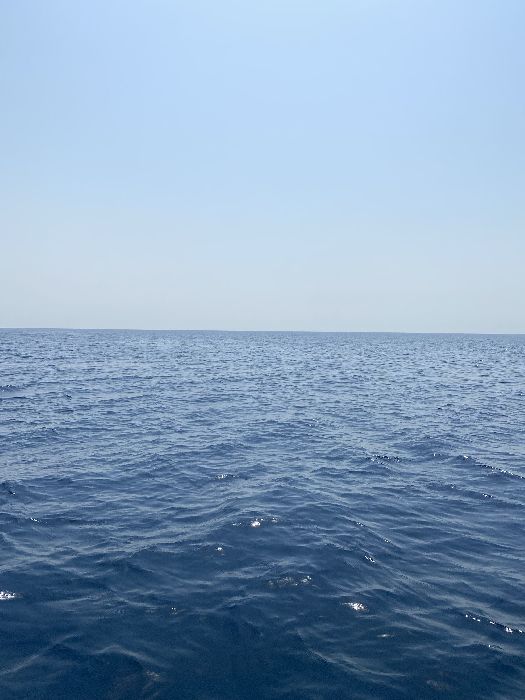 Spot photo 12