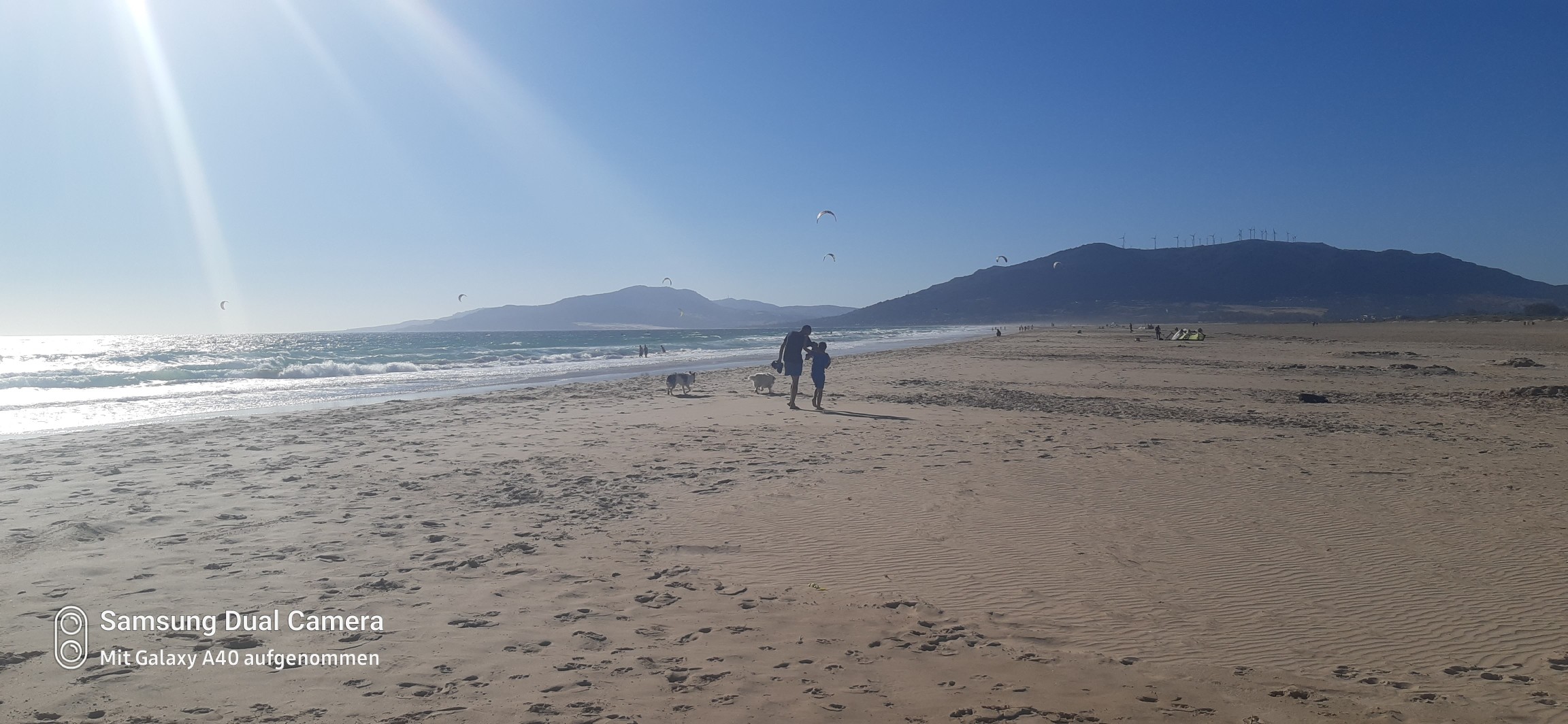 Spot photo 165