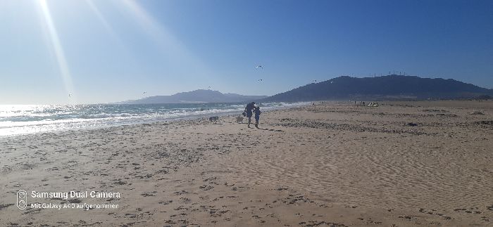 Spot photo 165