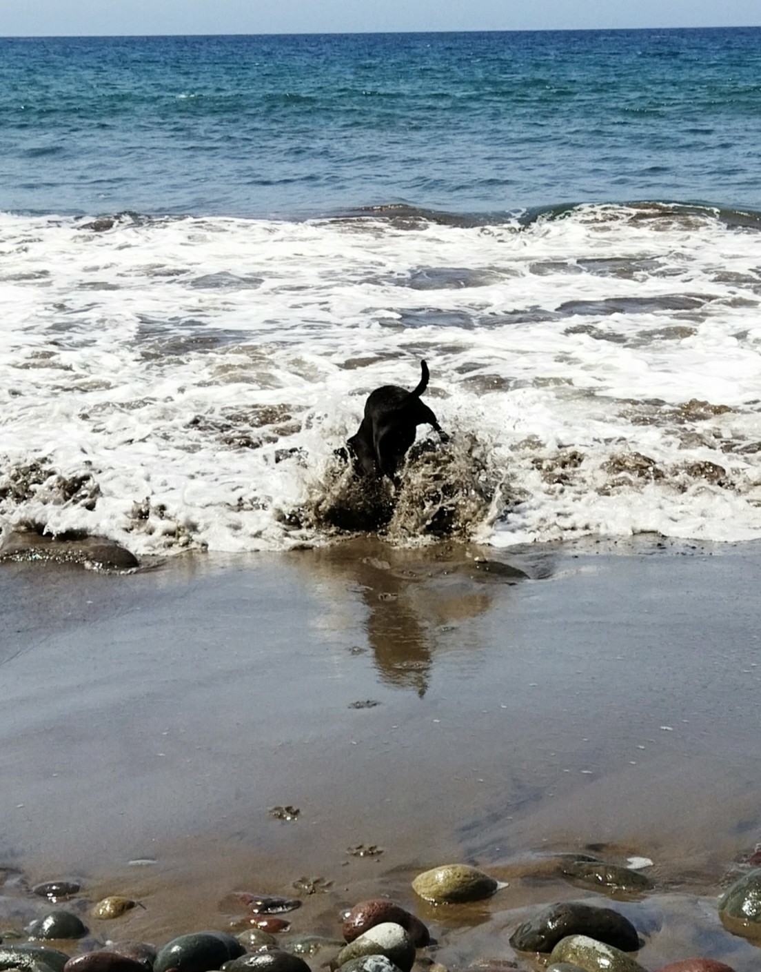 Spot photo 14