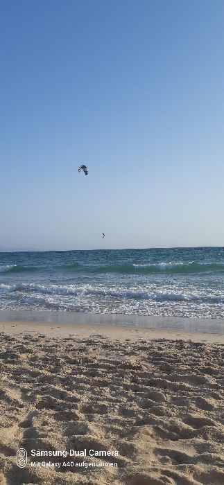 Spot photo 159