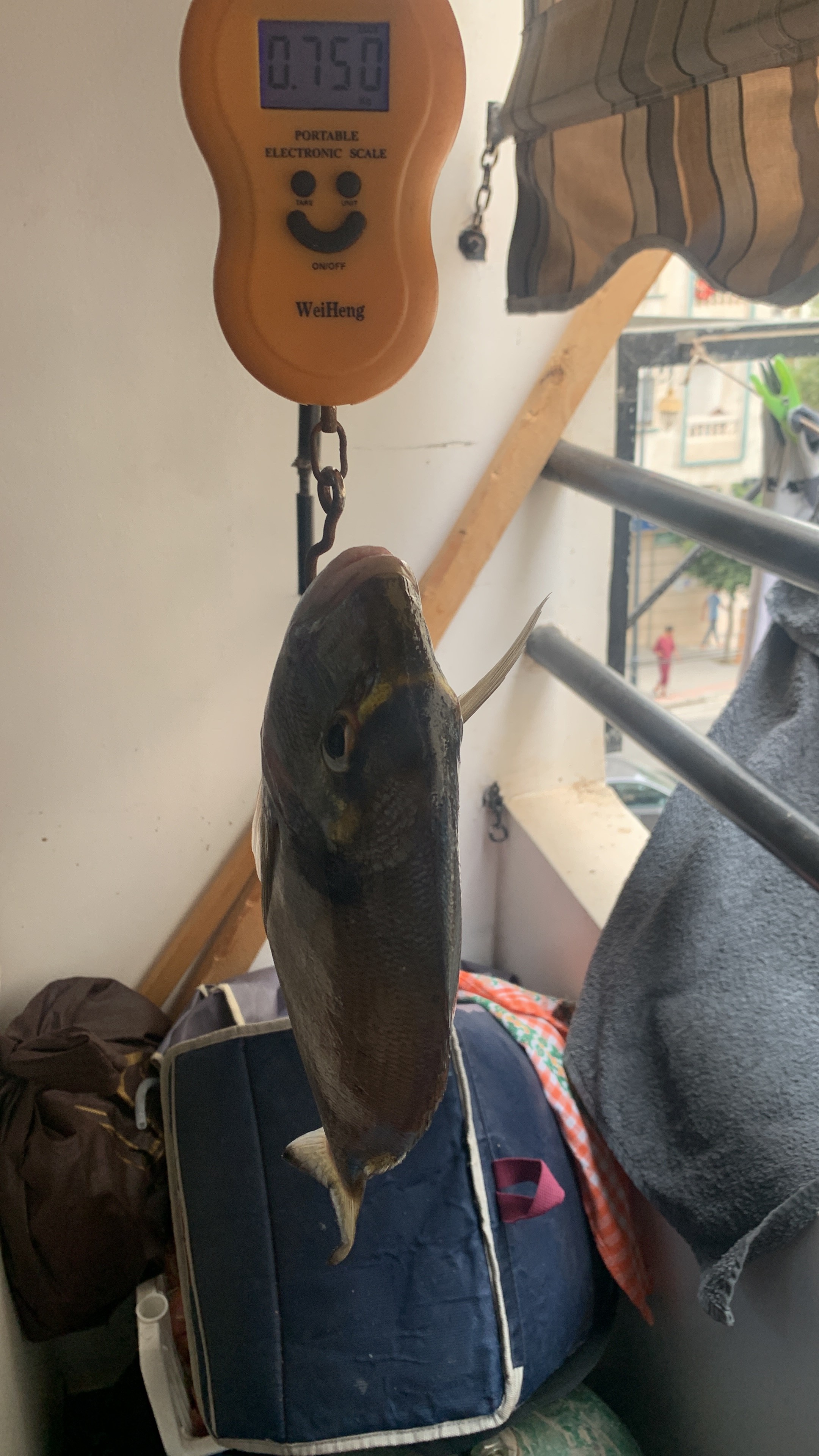 Spot photo 154