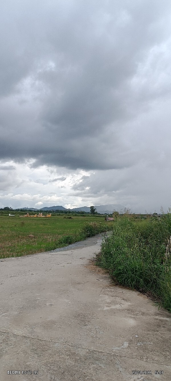 Spot photo 63