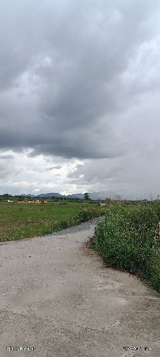 Spot photo 63