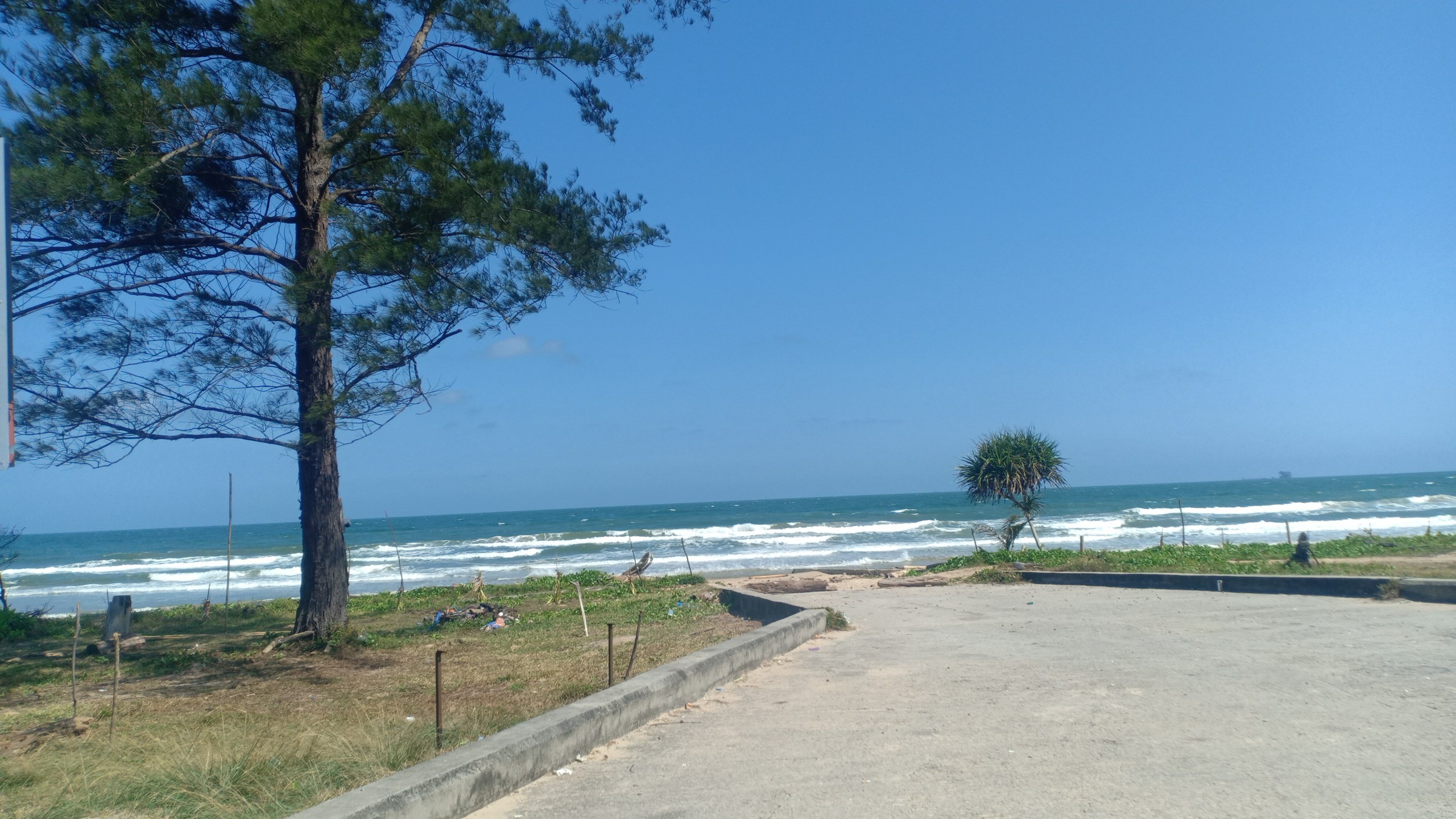 Spot photo 10