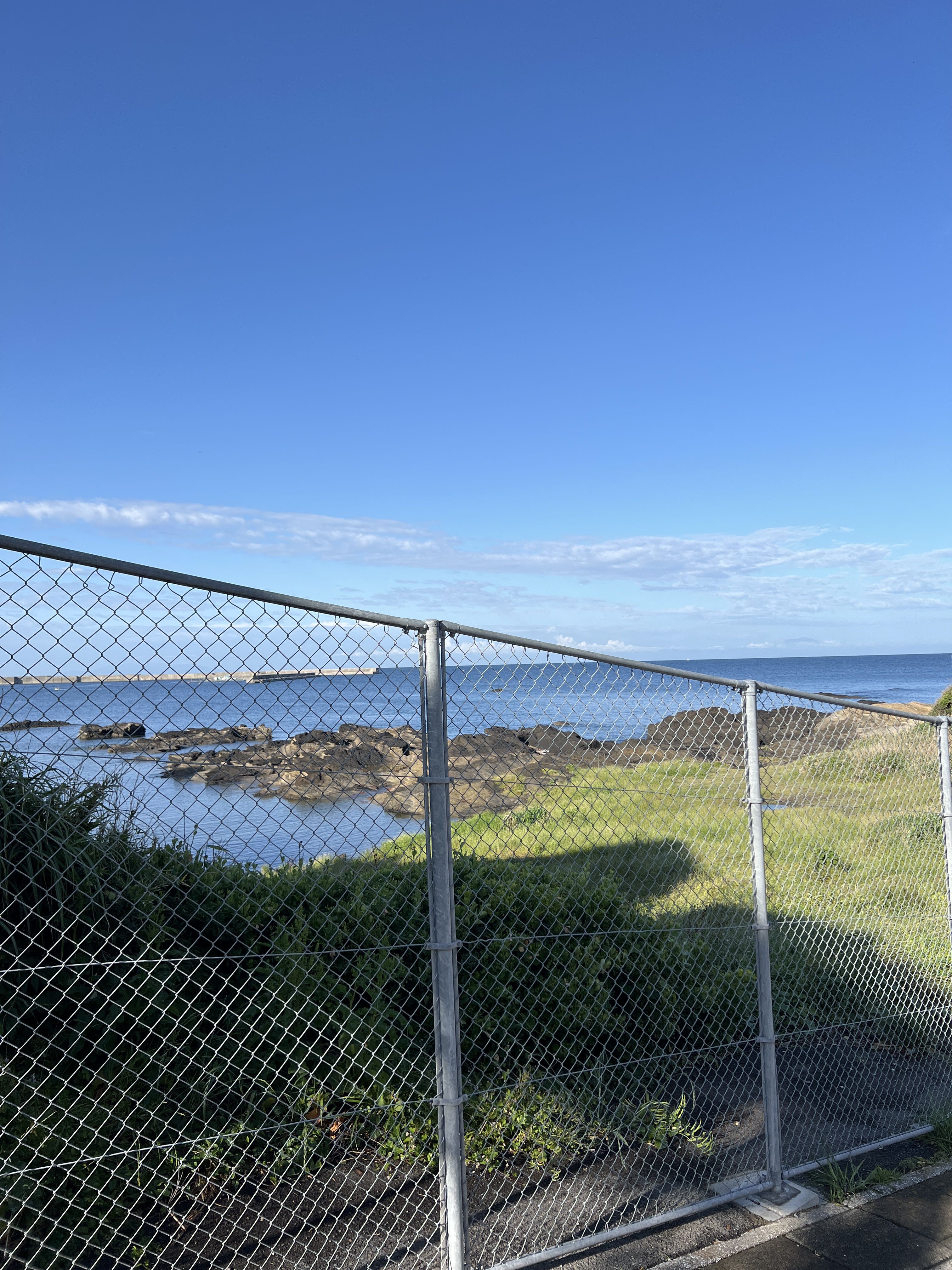 Spot photo 11