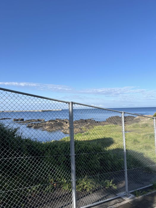 Spot photo 11
