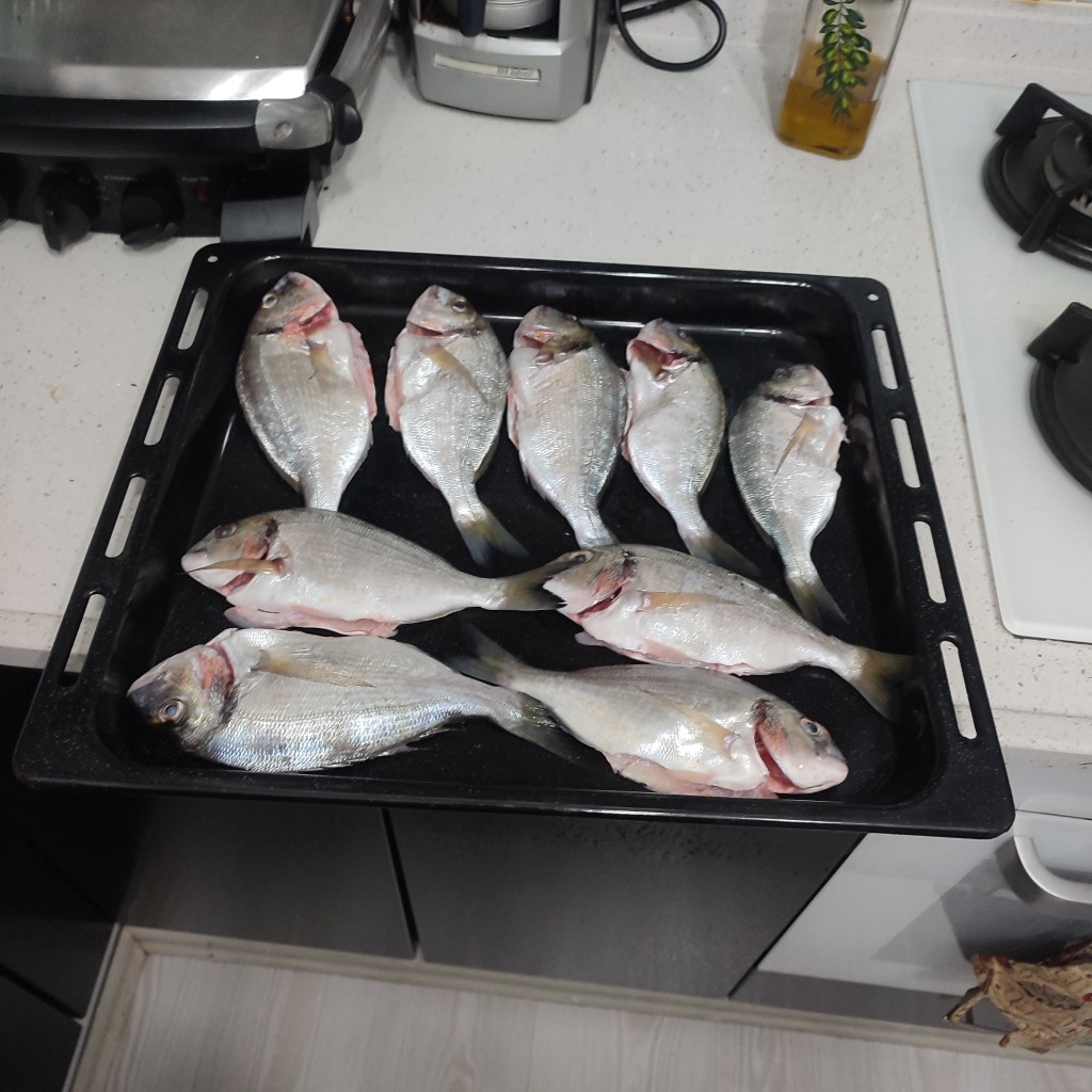 Spot photo 251