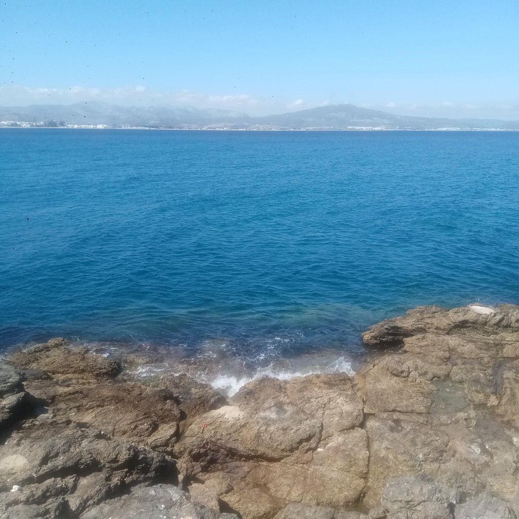 Spot photo 64