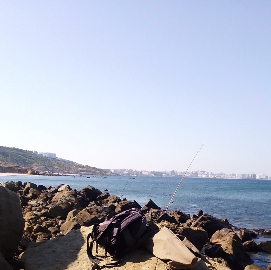 Spot photo 2