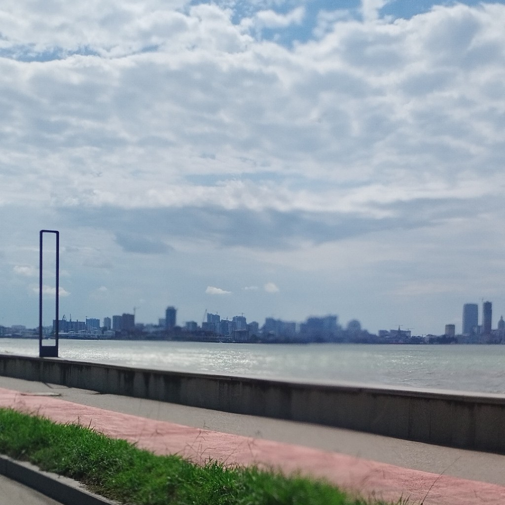 Spot photo 56