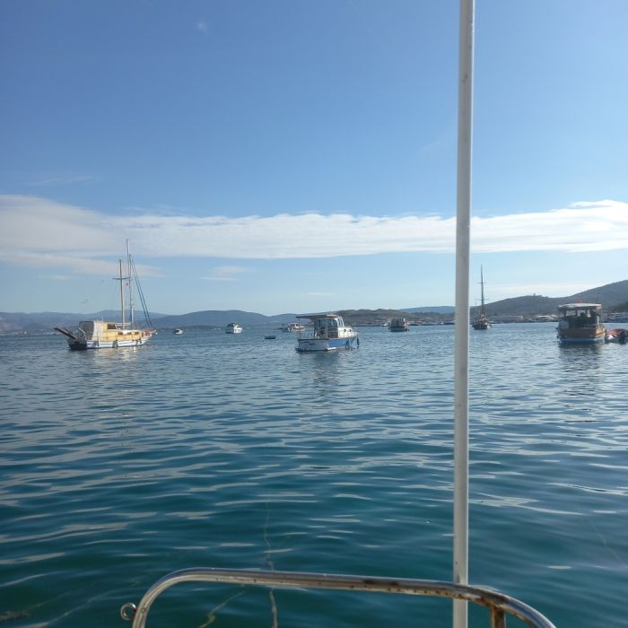 Spot photo 110