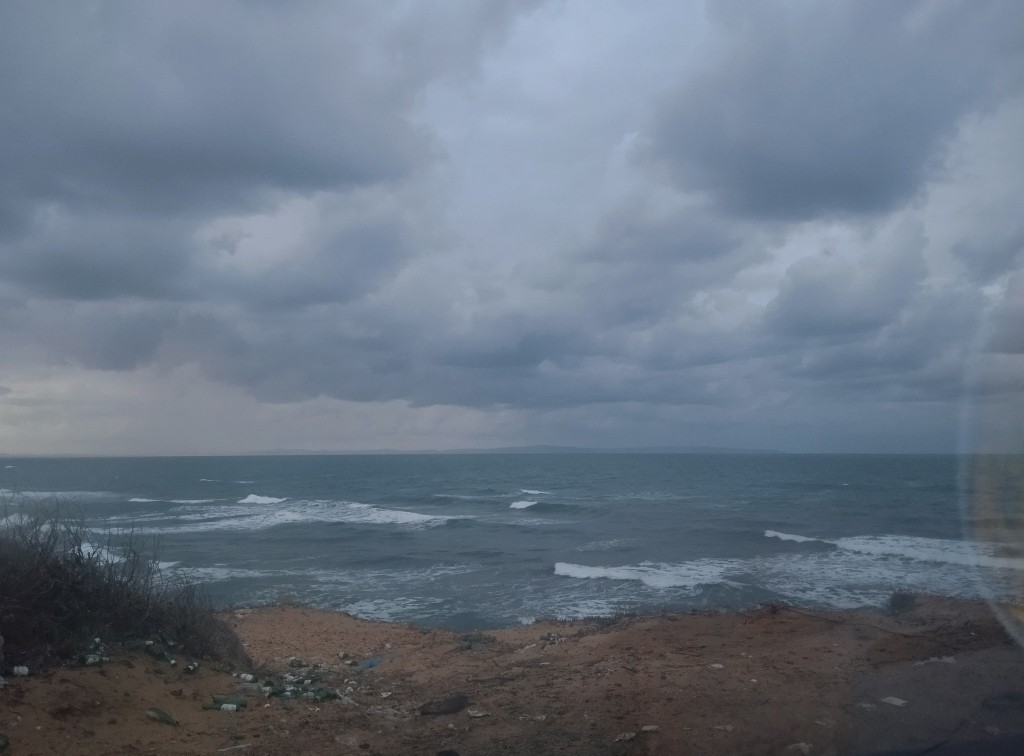 Spot photo 37
