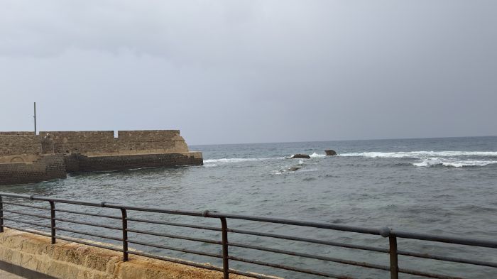 Spot photo 17