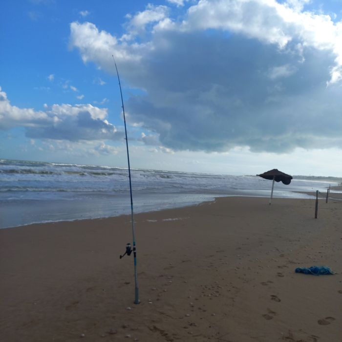Spot photo 33