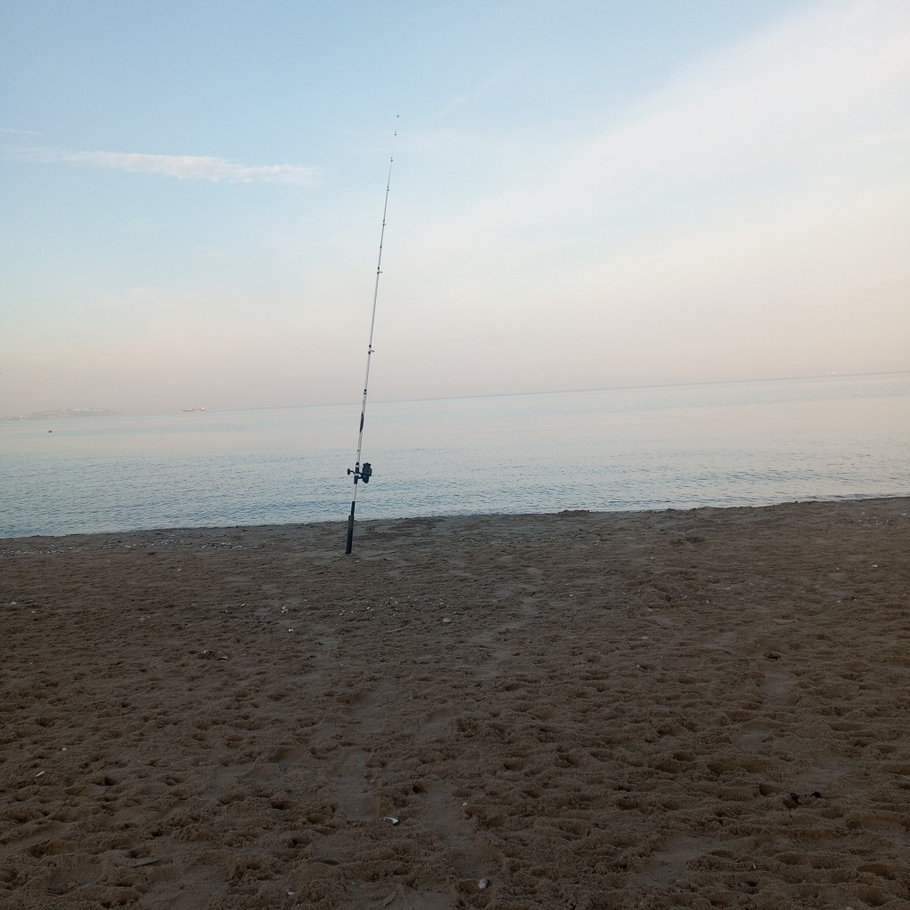 Spot photo 30