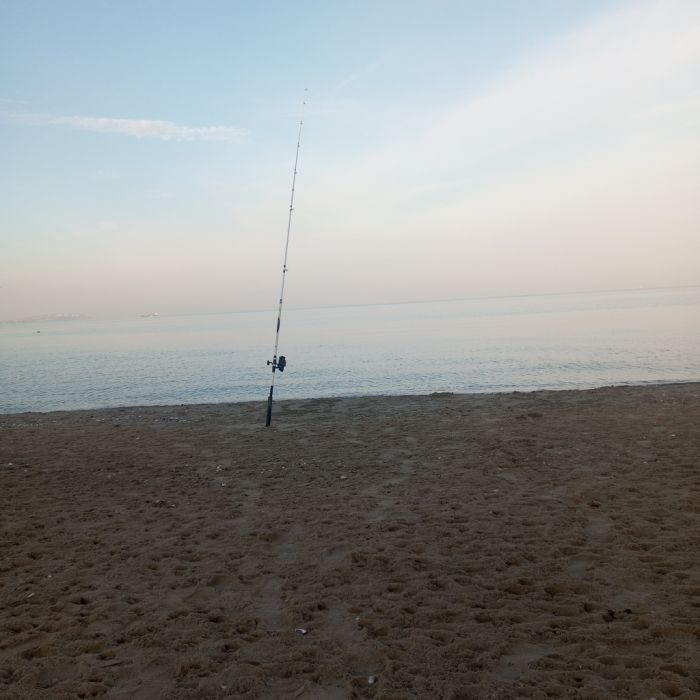 Spot photo 30