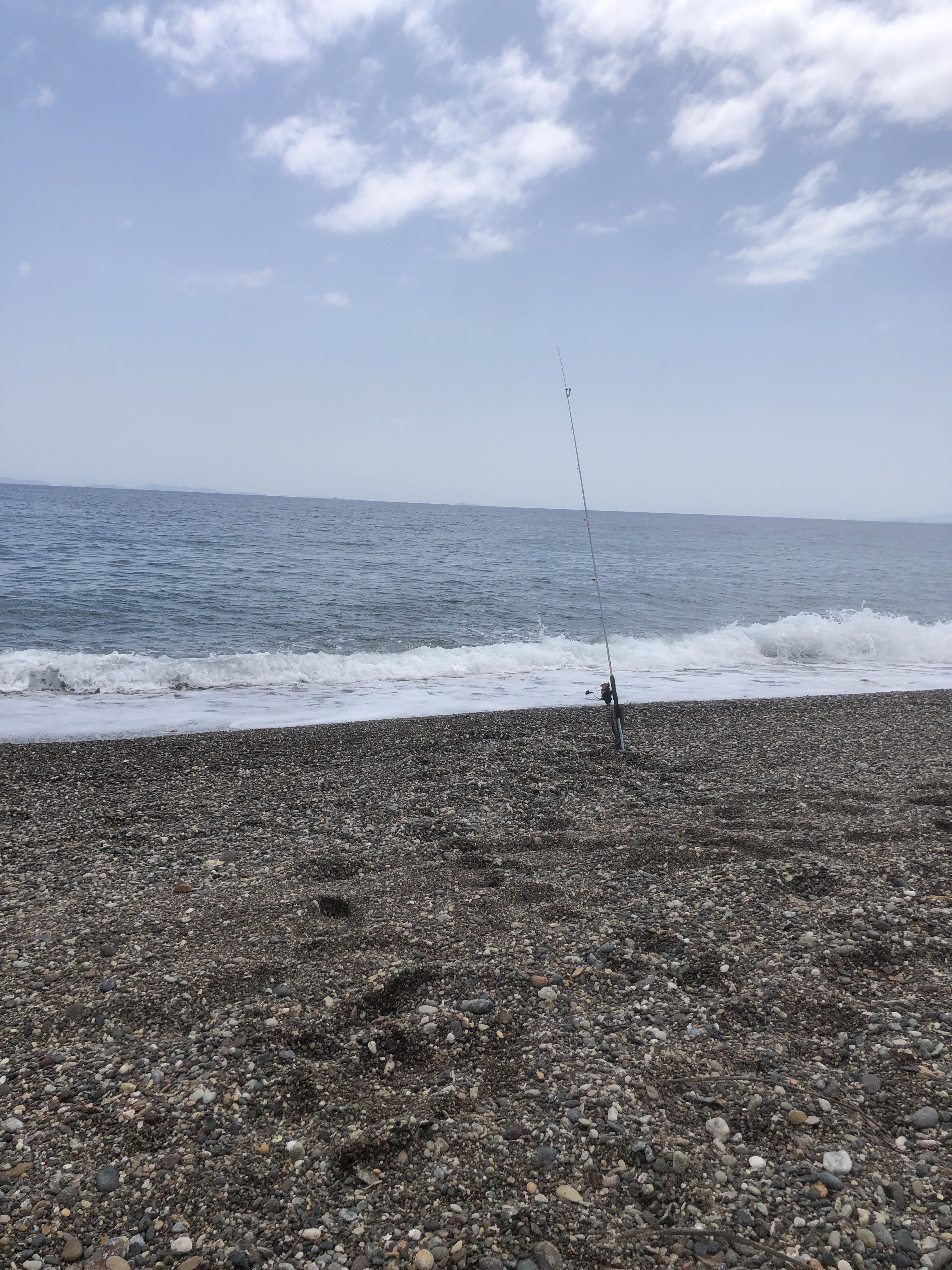Spot photo 13