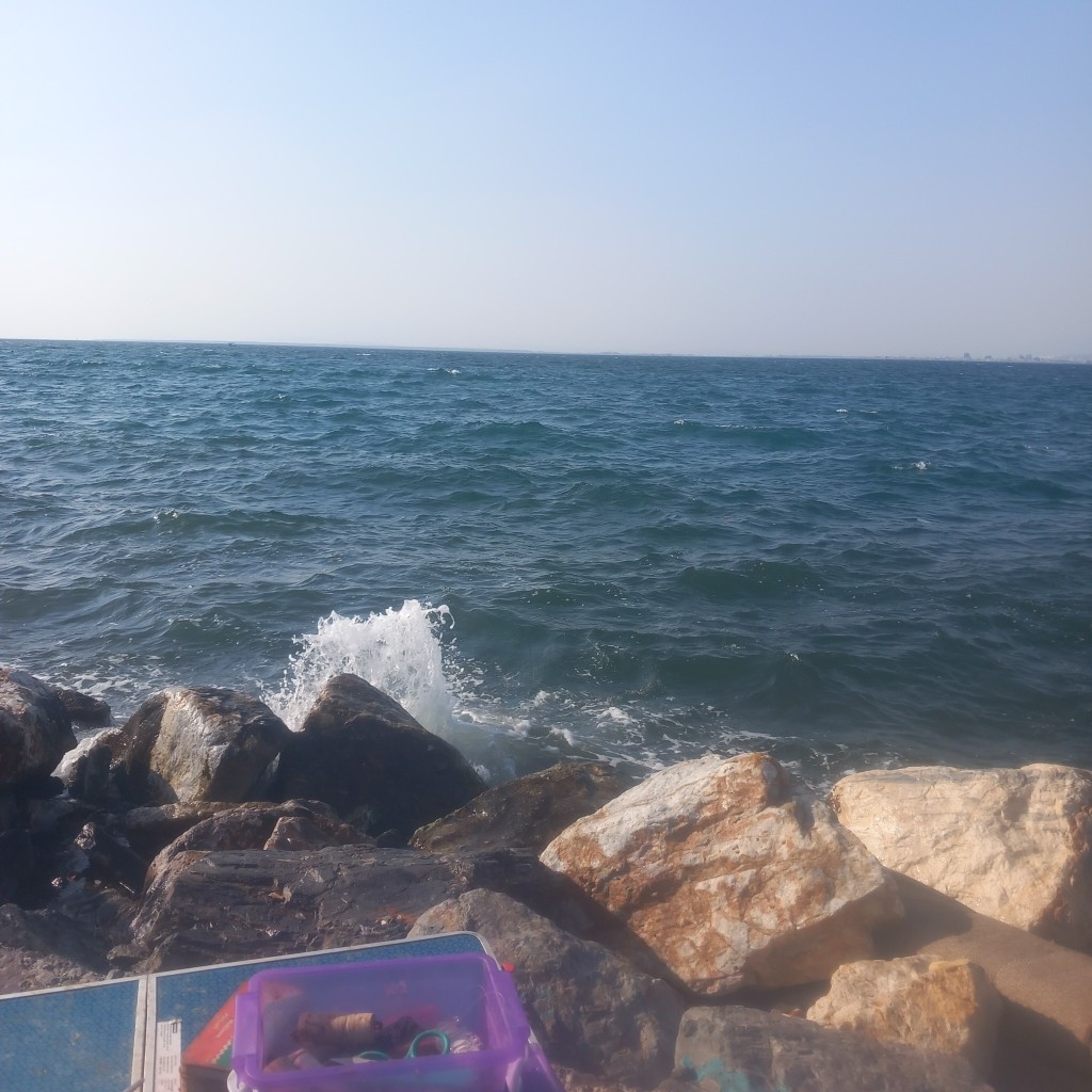 Spot photo 171
