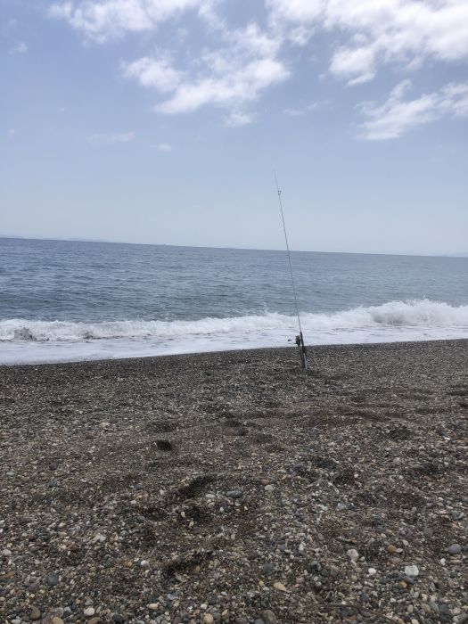 Spot photo 13