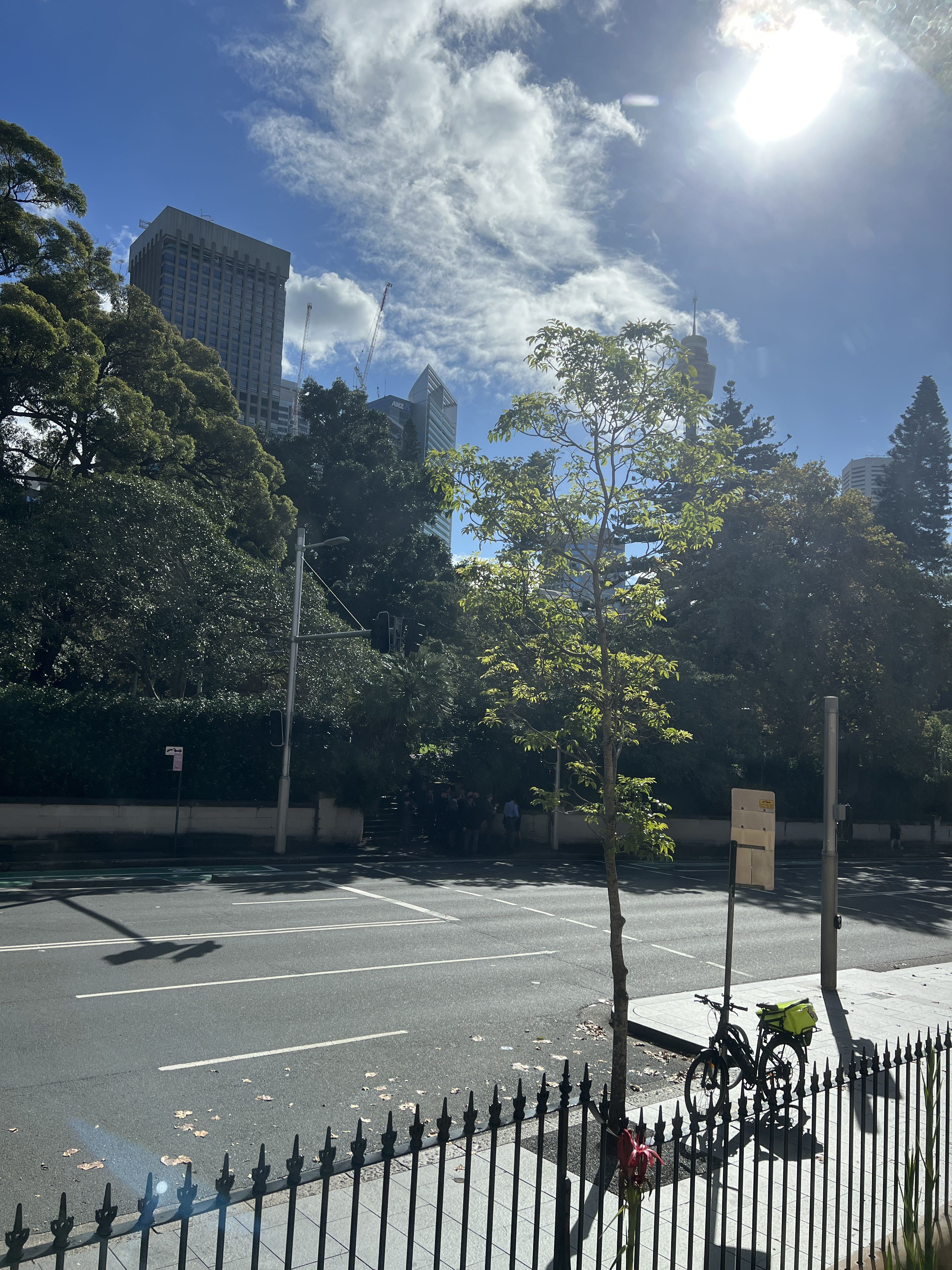 Spot photo 15