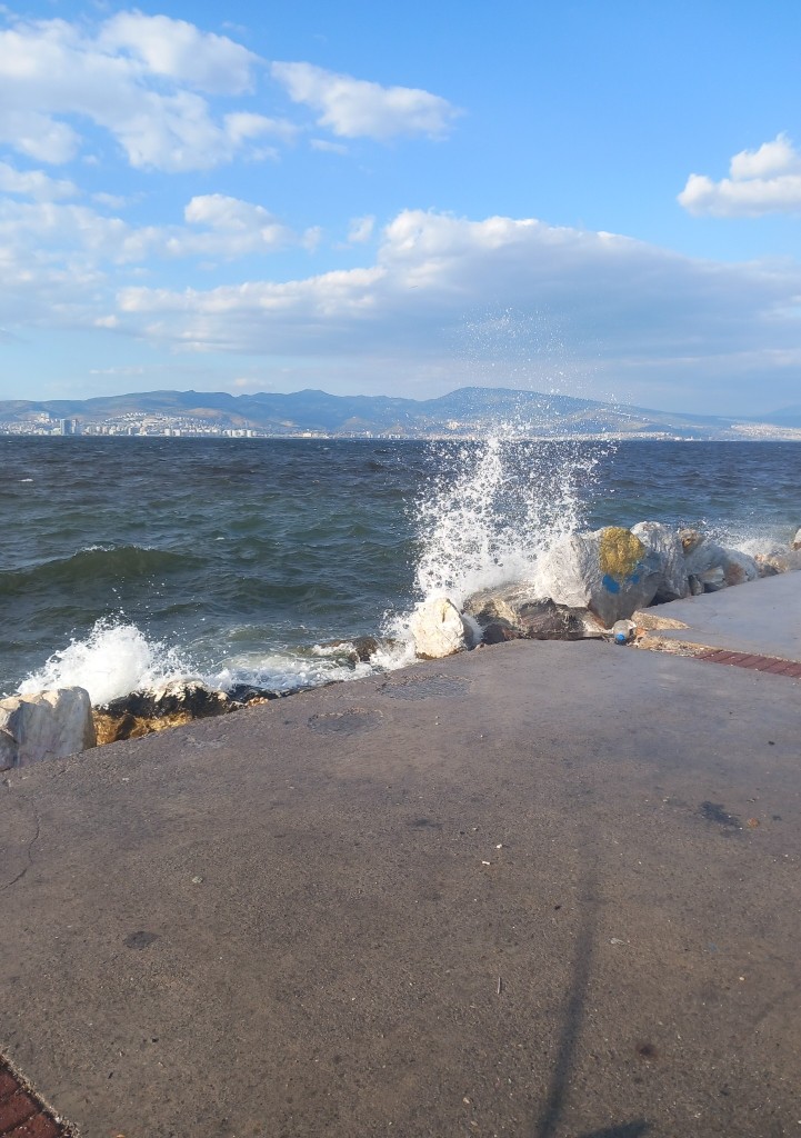 Spot photo 164