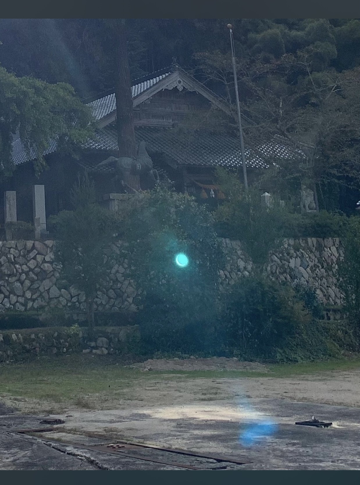Spot photo 32