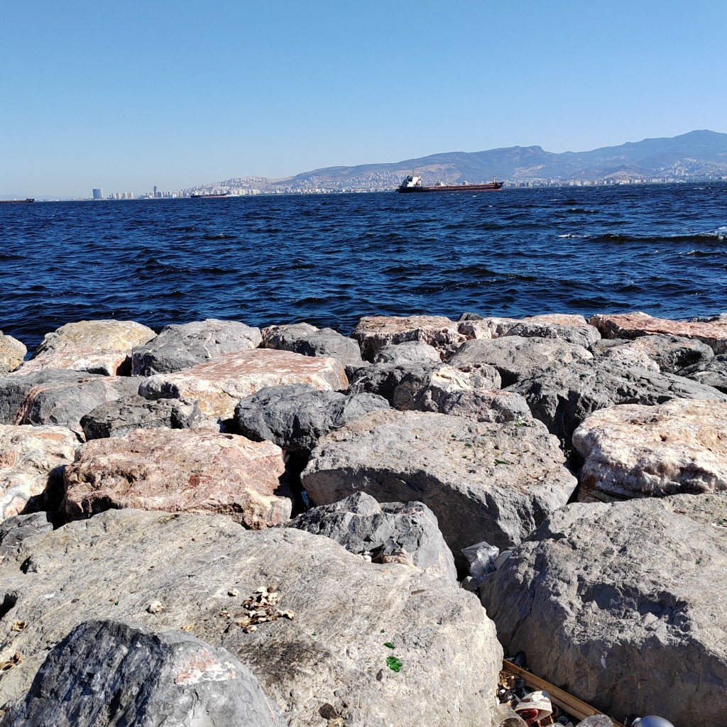 Spot photo 147