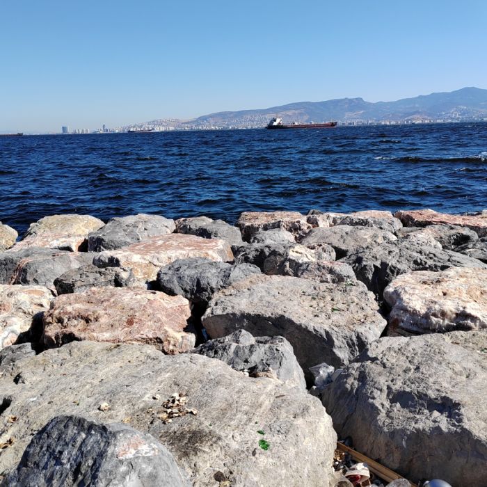Spot photo 147