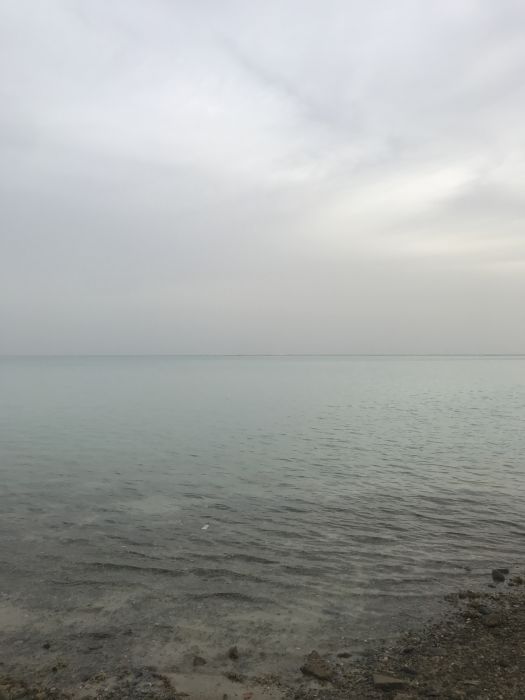Spot photo 4