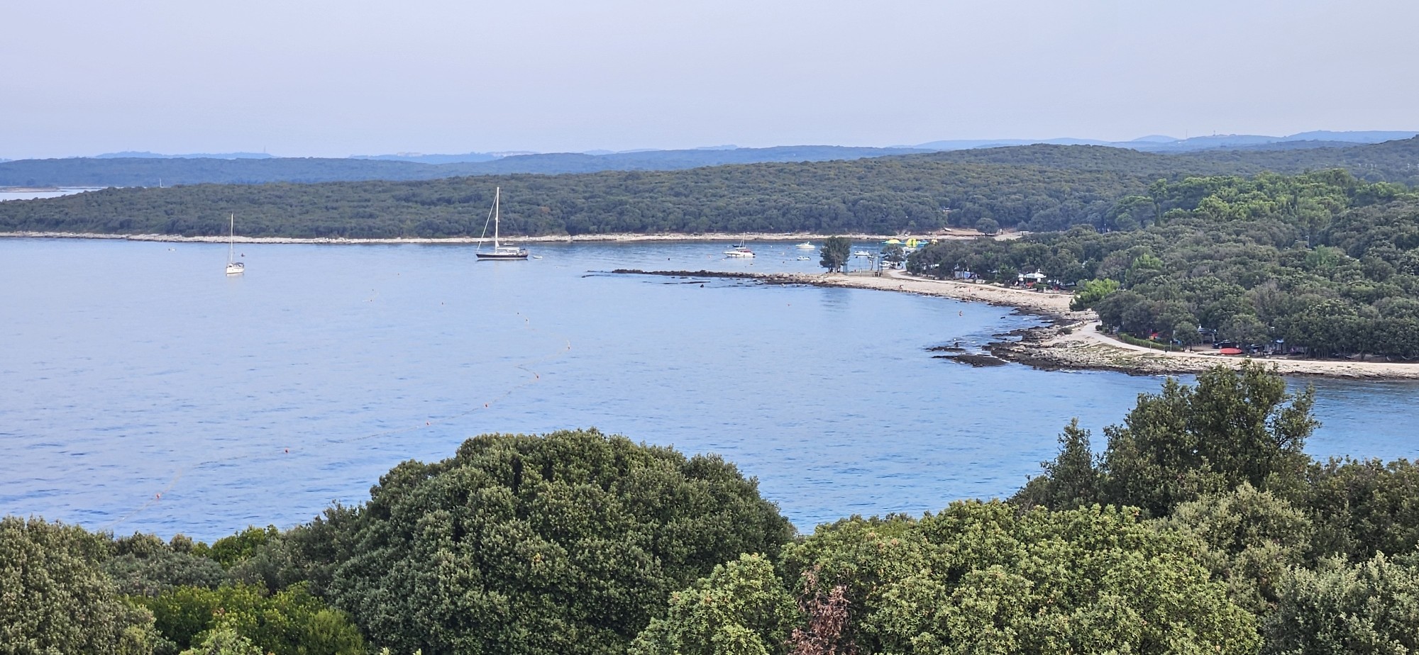 Spot photo 3