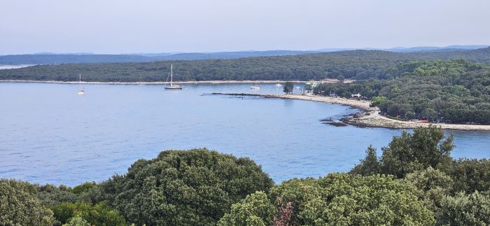 Spot photo 3