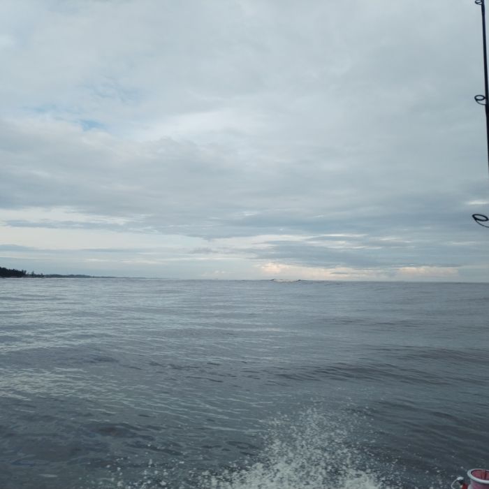 Spot photo 1