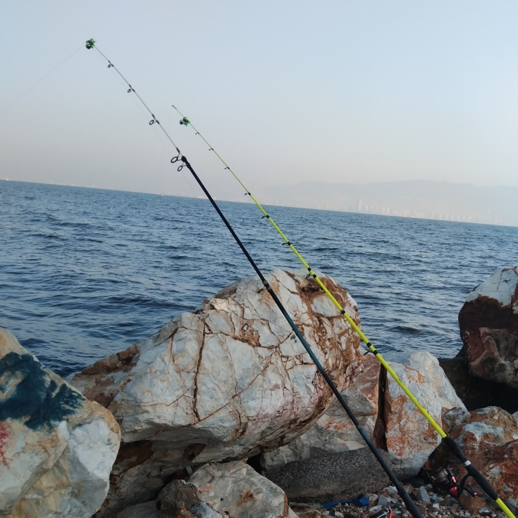 Spot photo 63