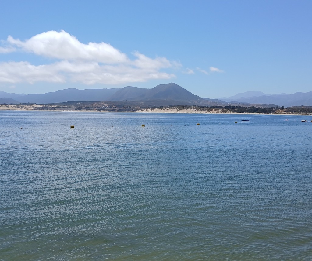 Spot photo 2
