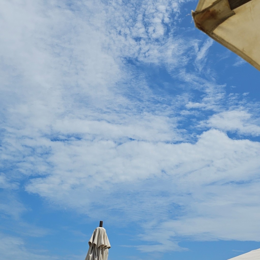 Spot photo 2