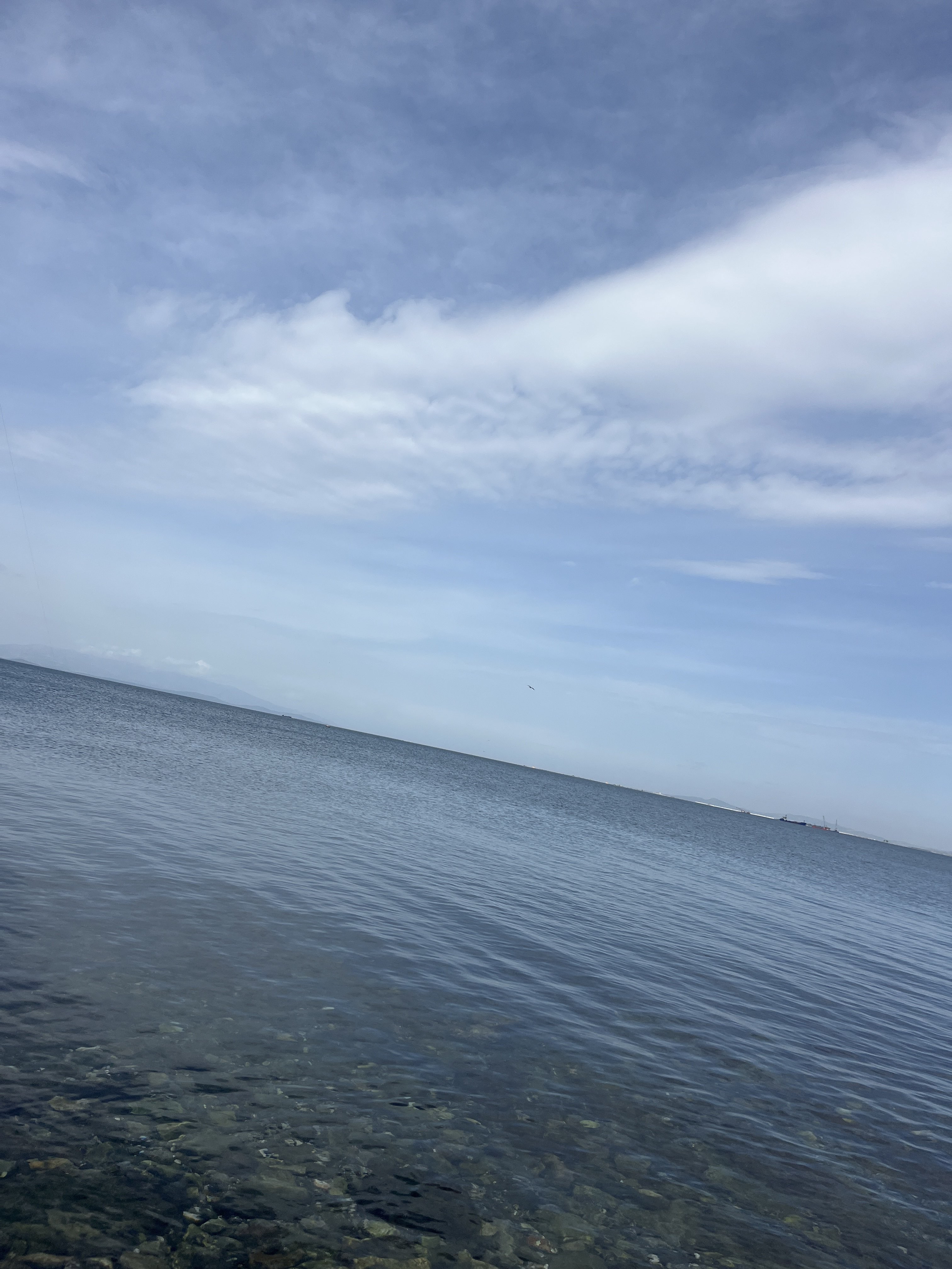 Spot photo 31