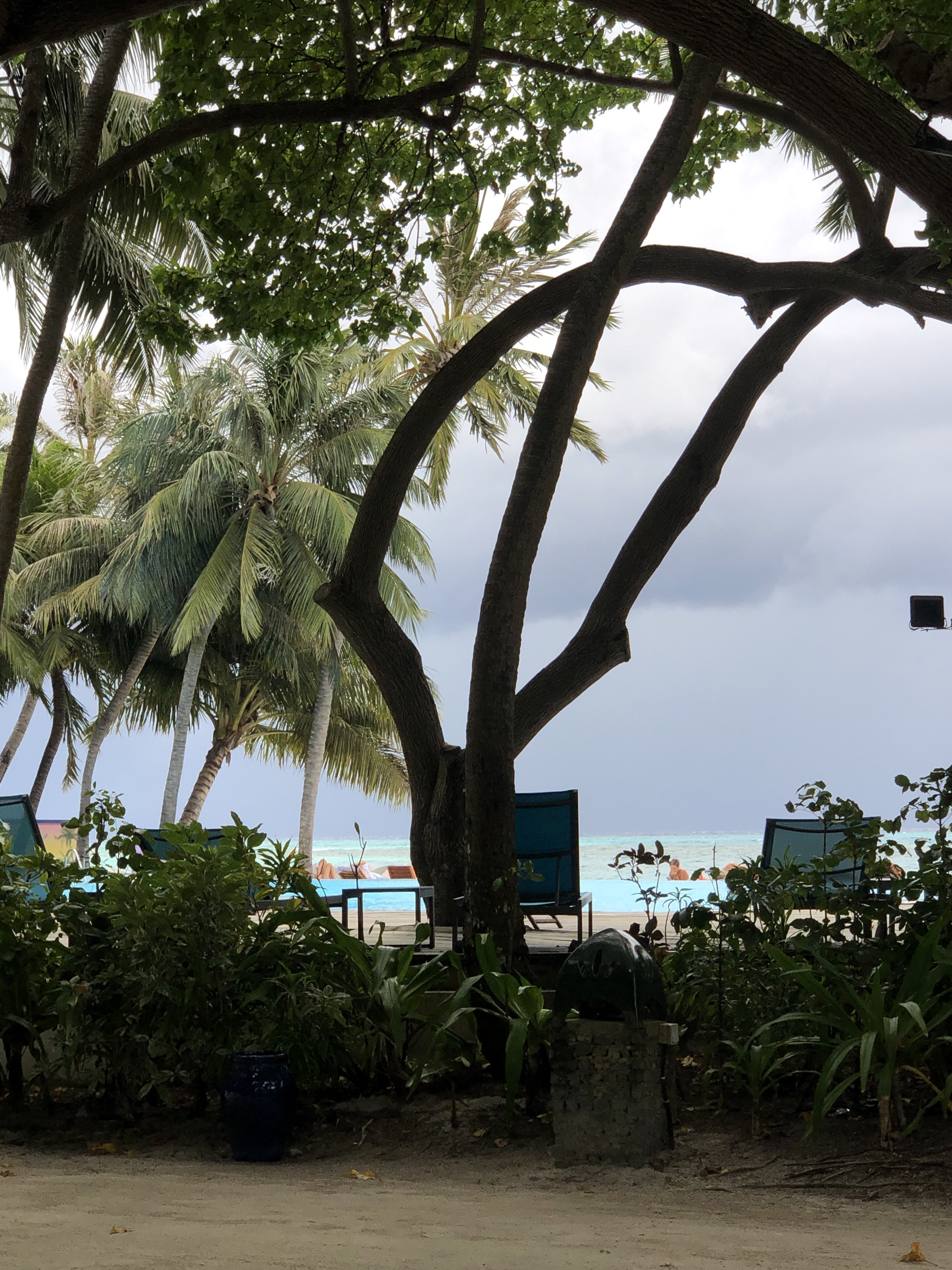 Spot photo 5