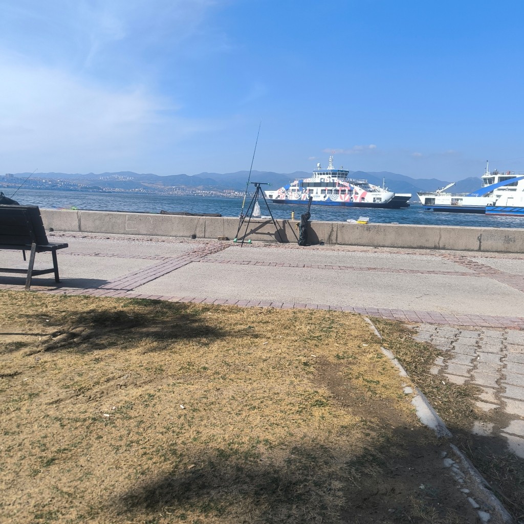 Spot photo 12