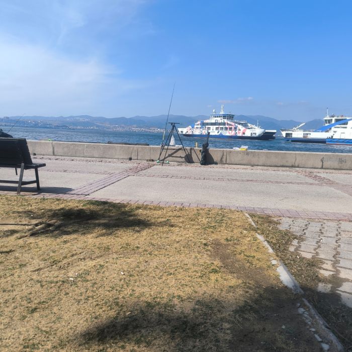Spot photo 12