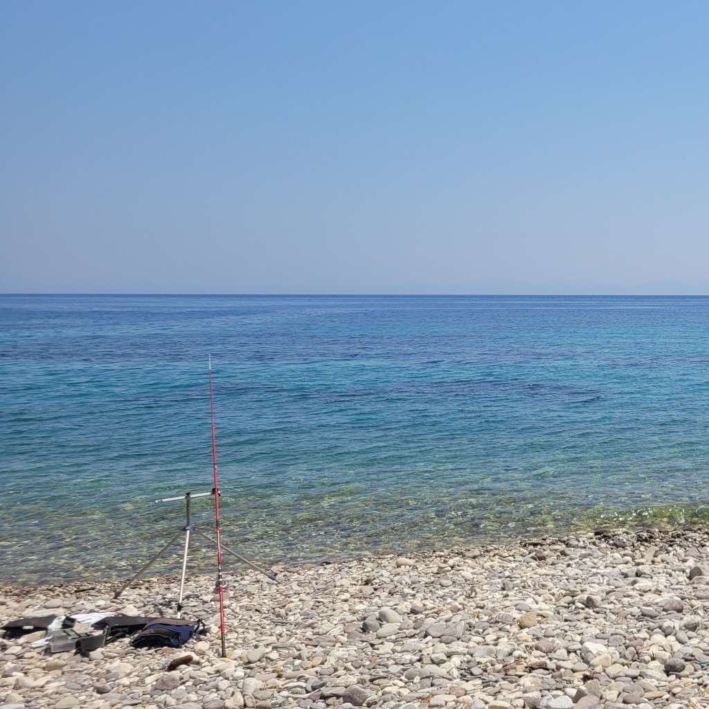 Spot photo 8