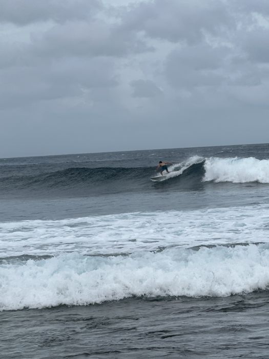 Spot photo 2