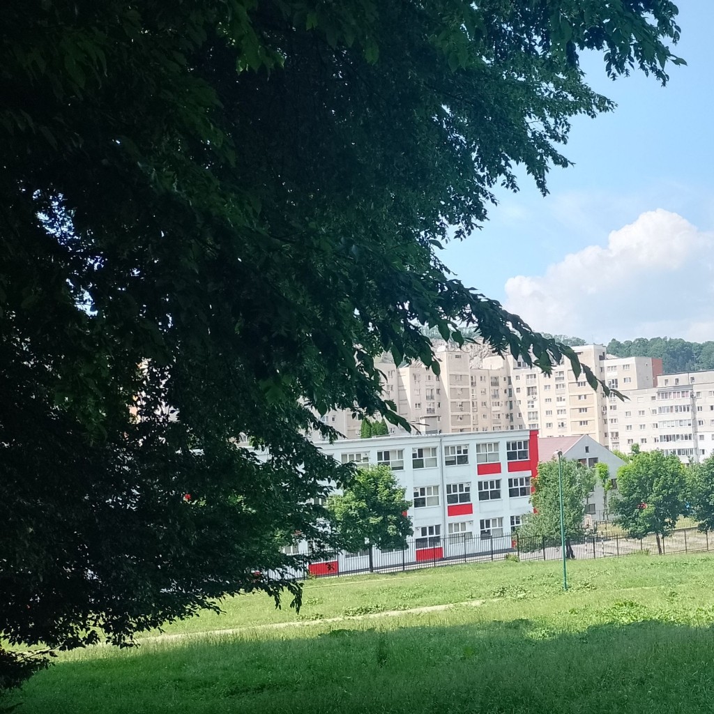 Spot photo 4