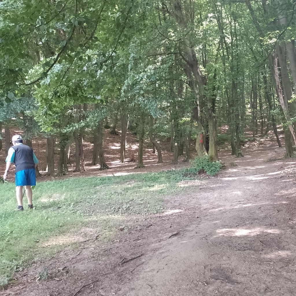 Spot photo 3